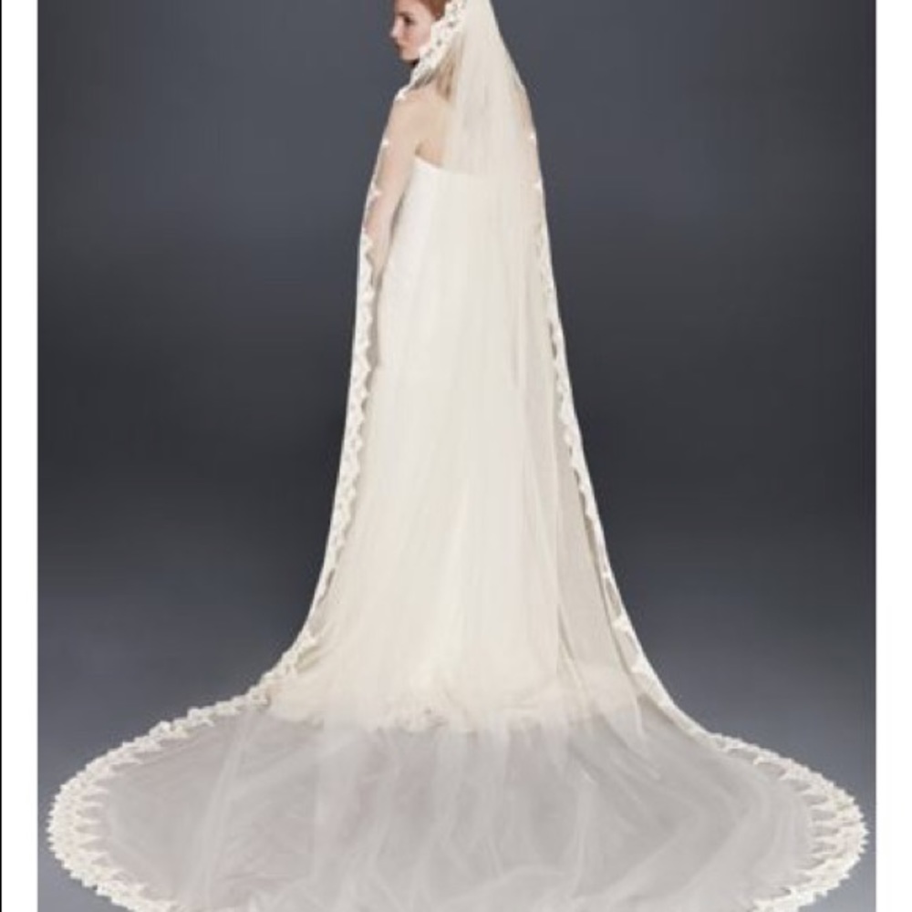 Lace Cathederal Veil